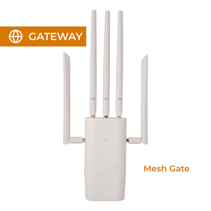 Mesh Gate